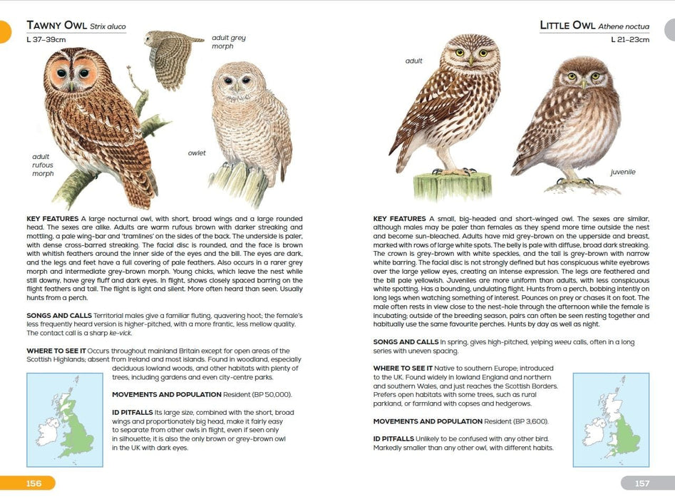 RSPB Books - Pocket Guide to British Birds