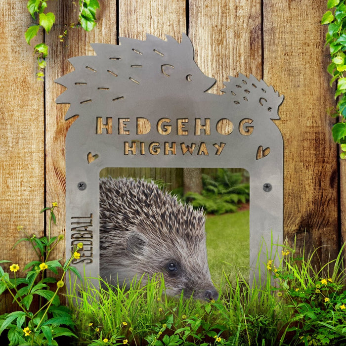 Seedball Garden Accessories - Hedgehog Highway