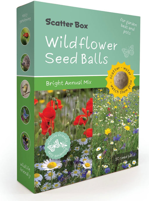 Seedball Plant & Herb Growing Kits - Bright Annual Mix Seedball Scatter Box