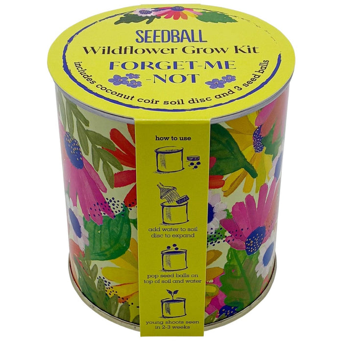 Seedball Plant & Herb Growing Kits - Forget-me-not Seedball Wildflower Grow Kit