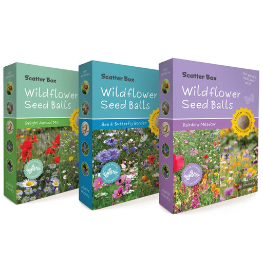Seedball Plant & Herb Growing Kits - Seedball Scatter Box