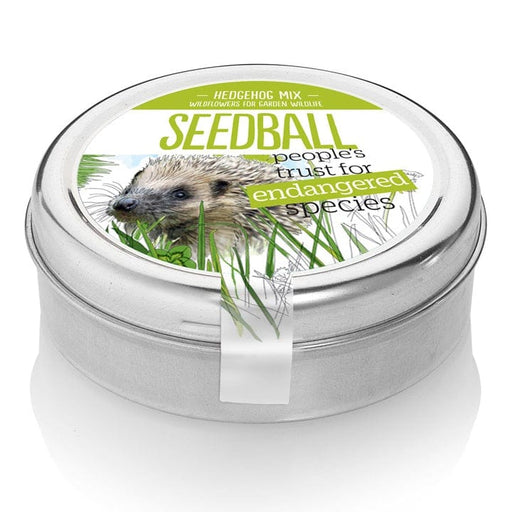 Seedball Plant & Herb Growing Kits - Seedball Tin - Hedgehog Mix