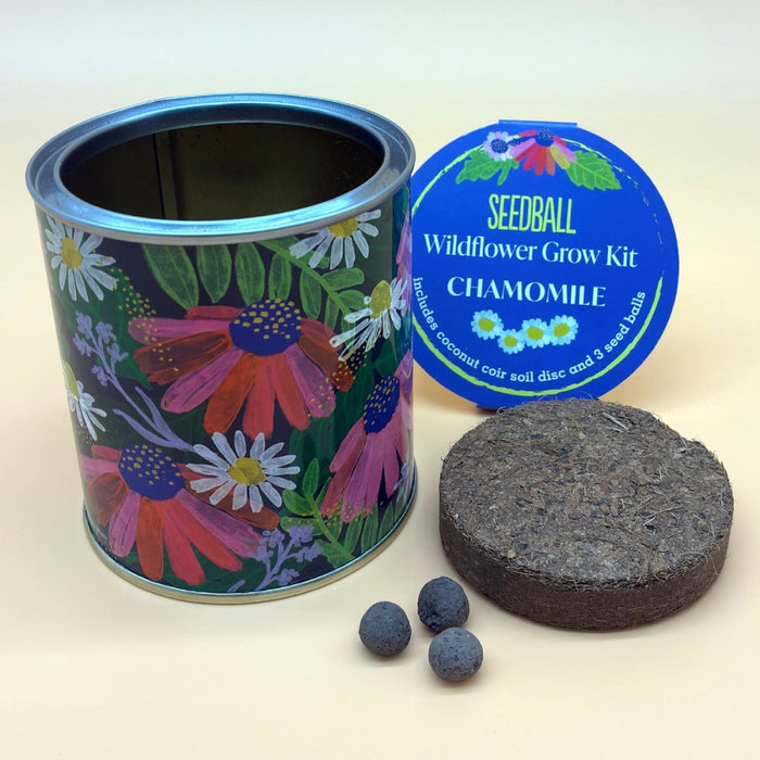 Seedball Plant & Herb Growing Kits - Seedball Wildflower Grow Kit