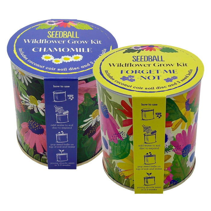 Seedball Plant & Herb Growing Kits - Seedball Wildflower Grow Kit