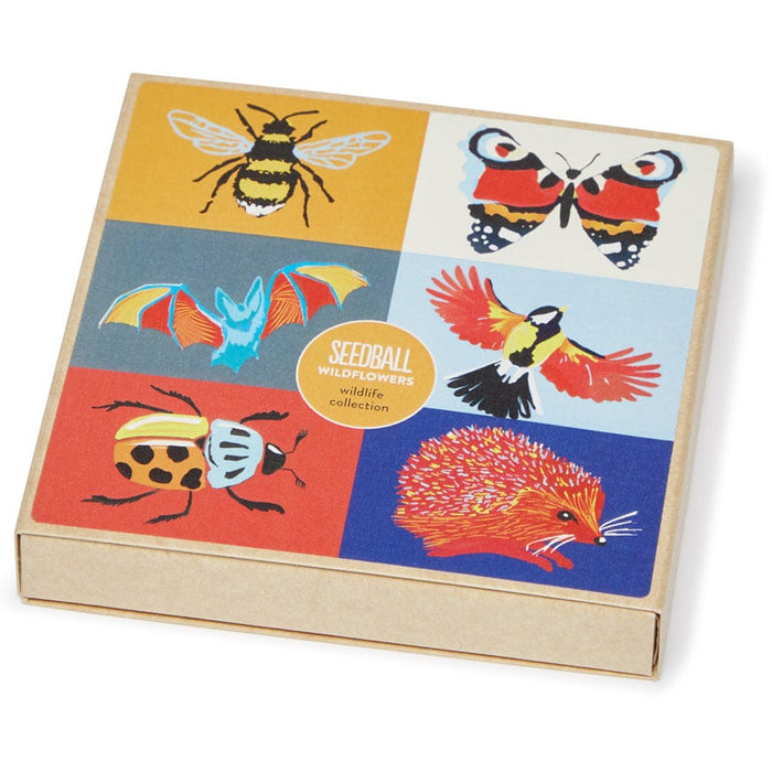 Seedball Plant & Herb Growing Kits - Seedball Wildlife Collection