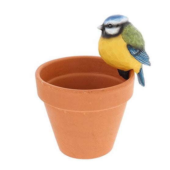 Shudehill Garden Decor - Blue Tit Pot Hangers - Set of 2