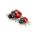 Shudehill Garden Decor - Set of Two Metal Ladybird Wall Art