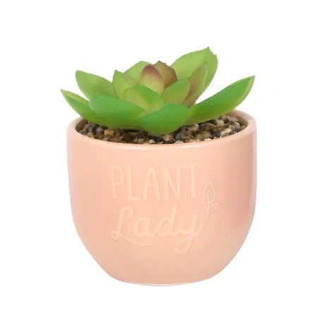 Something Different Indoor Decor - Mini Plant Pots with Artificial Plant