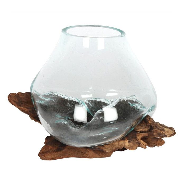 Something Different Plant Terrariums - Molten Glass Bowl on Root Wood Stand