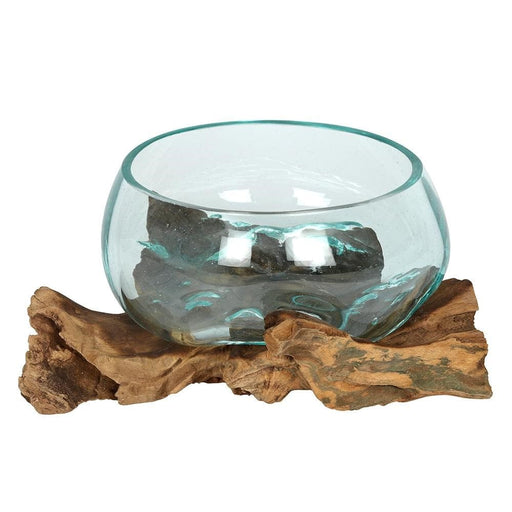 Something Different Plant Terrariums - Molten Glass Bowl on Root Wood Stand