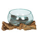 Something Different Plant Terrariums - Molten Glass Bowl on Root Wood Stand