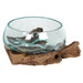 Something Different Plant Terrariums - Small Molten Glass Bowl on Root Wood Stand