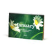 Willsow Calendars & Diaries - Plantable Flower Desk Calendar 2027