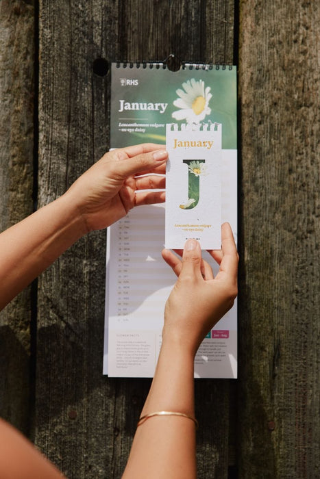 Willsow Calendars & Diaries - Plantable Flower Wall Calendar 2027
