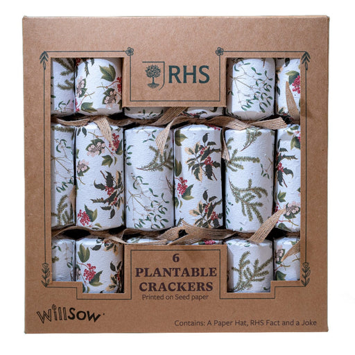 Willsow Novelty Gifts - Plantable Christmas Crackers (6 pack)