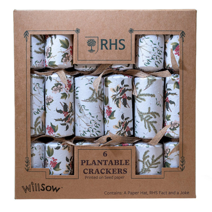 Willsow Novelty Gifts - Plantable Christmas Crackers (6 pack)