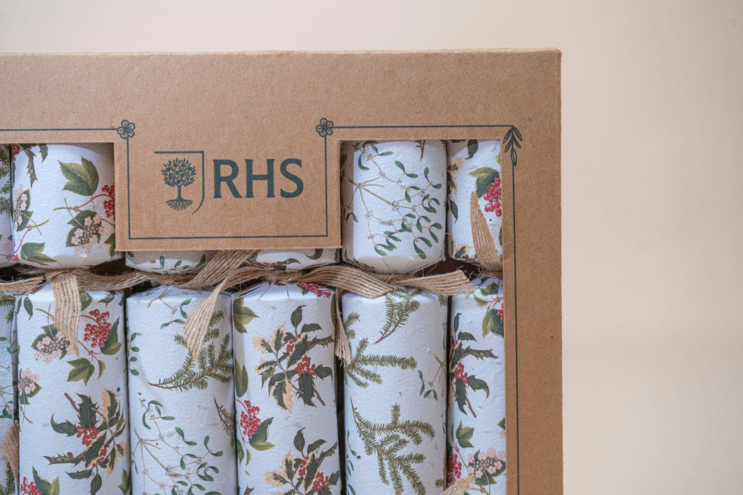 Willsow Novelty Gifts - Plantable Christmas Crackers (6 pack)